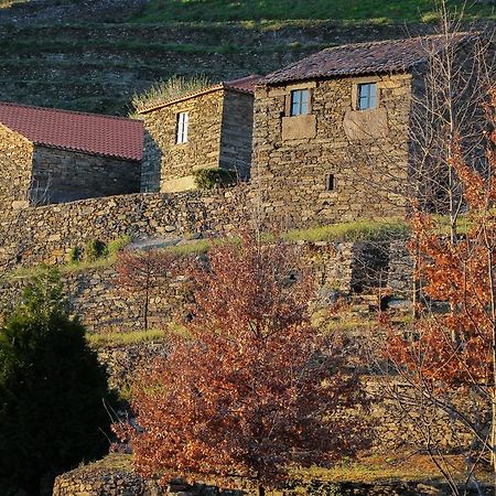 Cardenha Do Douro Villa Mesao Frio Bilik gambar