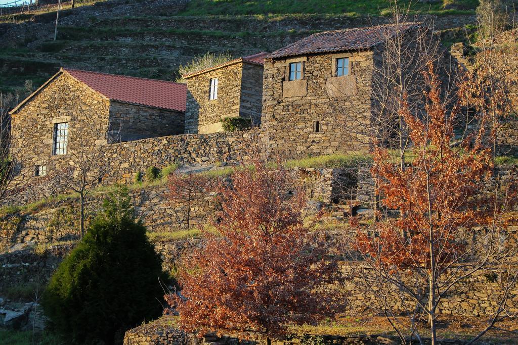 Cardenha Do Douro Villa Mesao Frio Bilik gambar